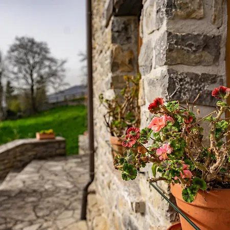 Aldea De Con - Cangas